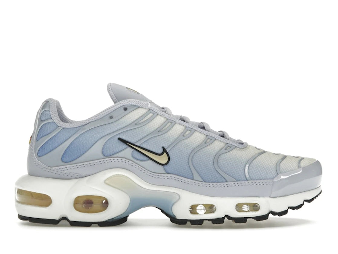 Nike Air Max Plus Daybreak - DZ3670-004