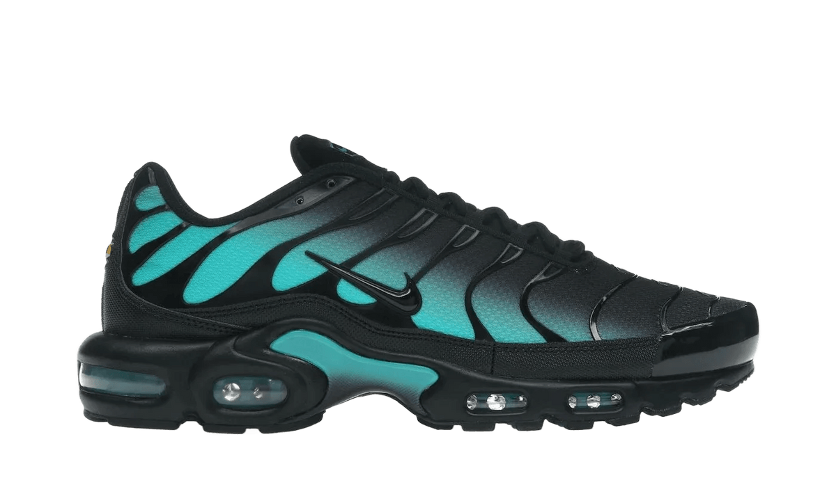 Nike Air Max Plus Black Dusty Cactus - DM0032-016