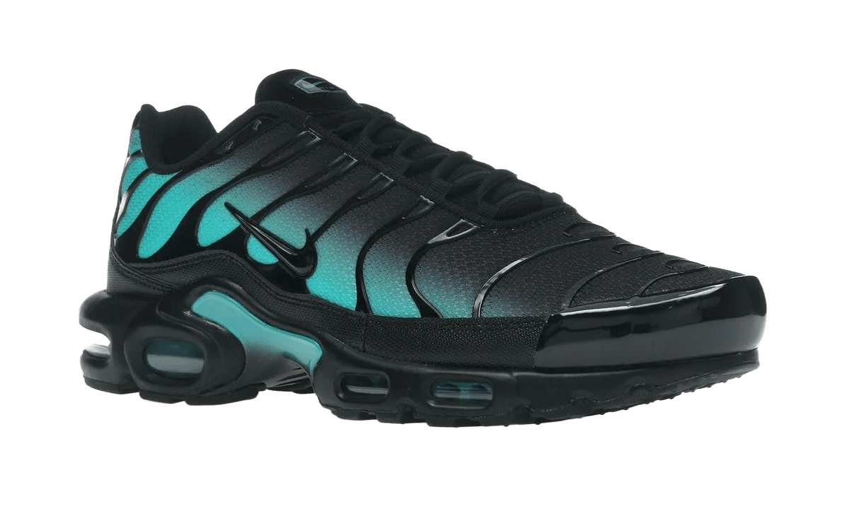 Nike Air Max Plus Black Dusty Cactus - DM0032-016