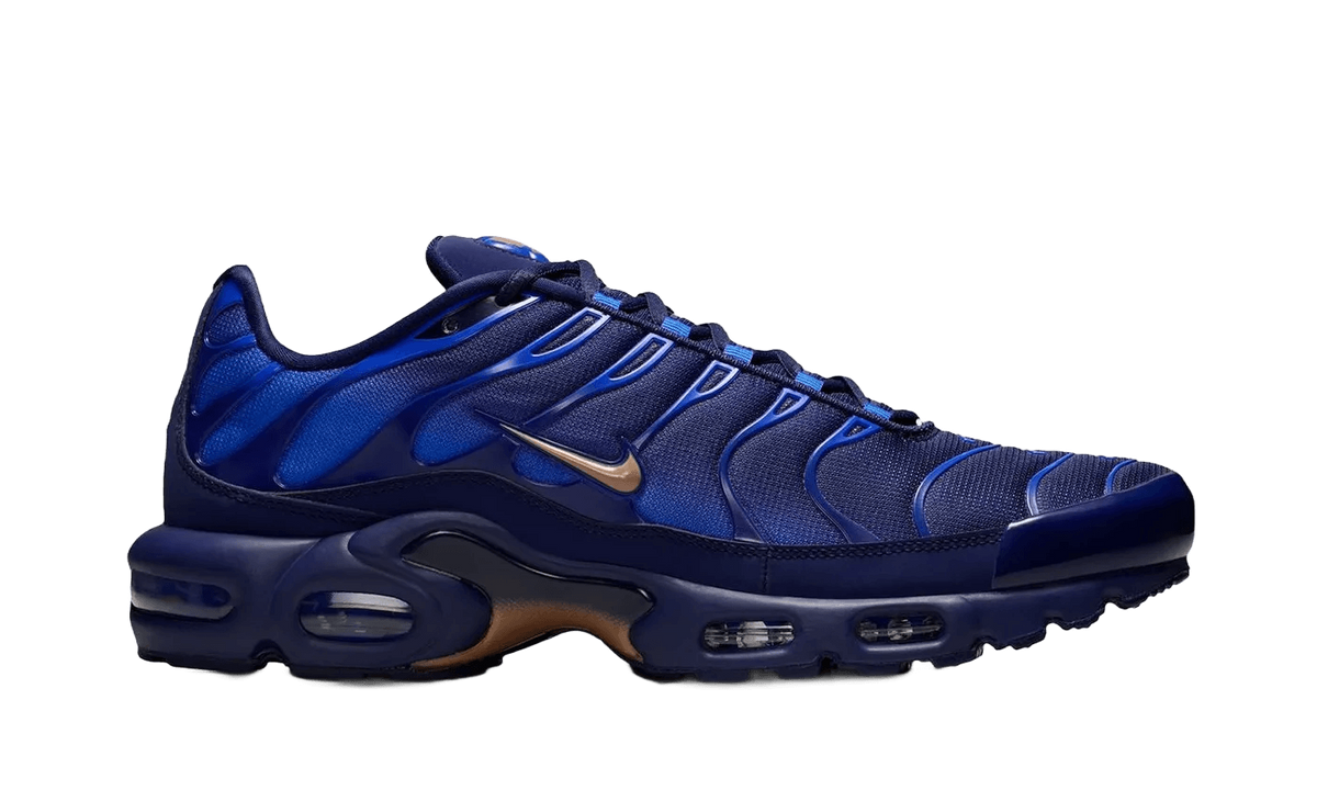 Nike Air Max Plus French Football Federation - IQ0170-400