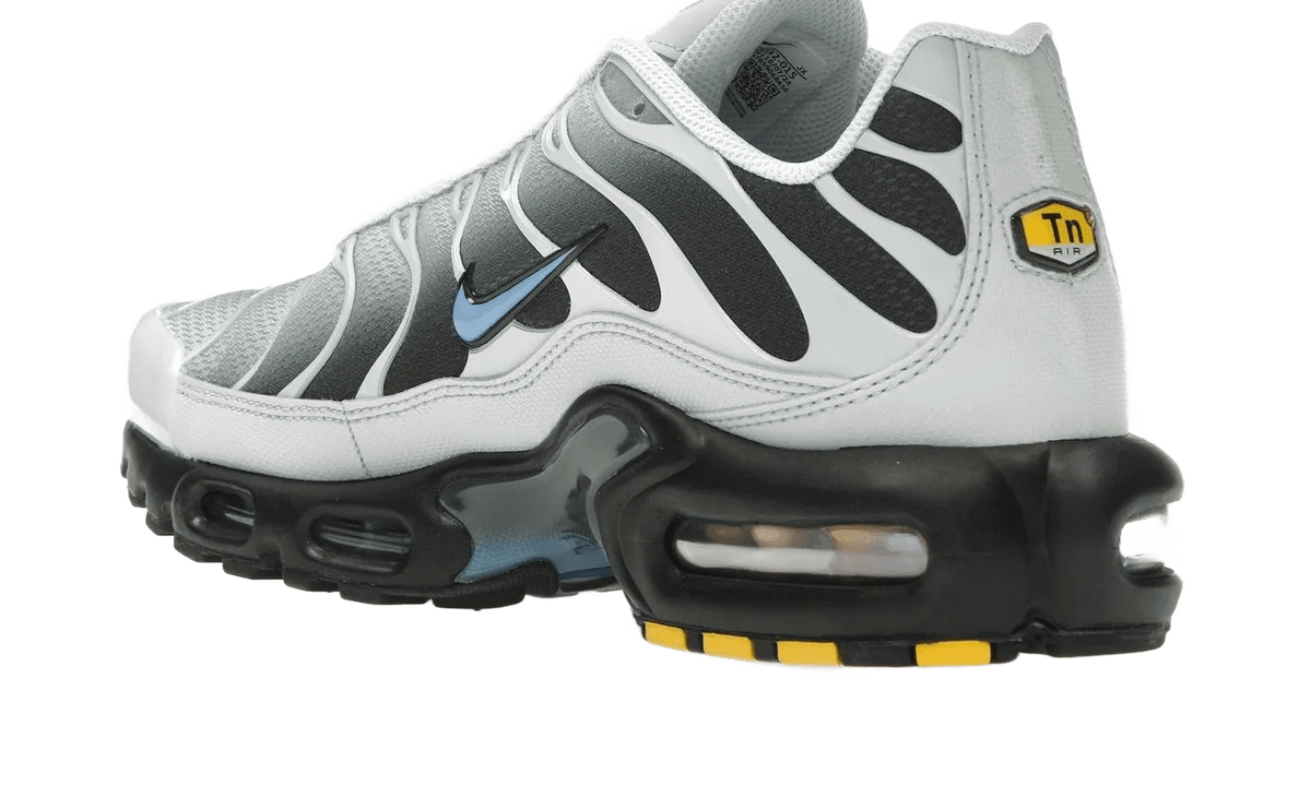 Nike Air Max Plus Grey University Blue Black - DM0032-015