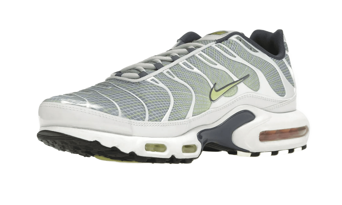 Nike Air Max Plus Pebble Grey Glue - HV6227-001