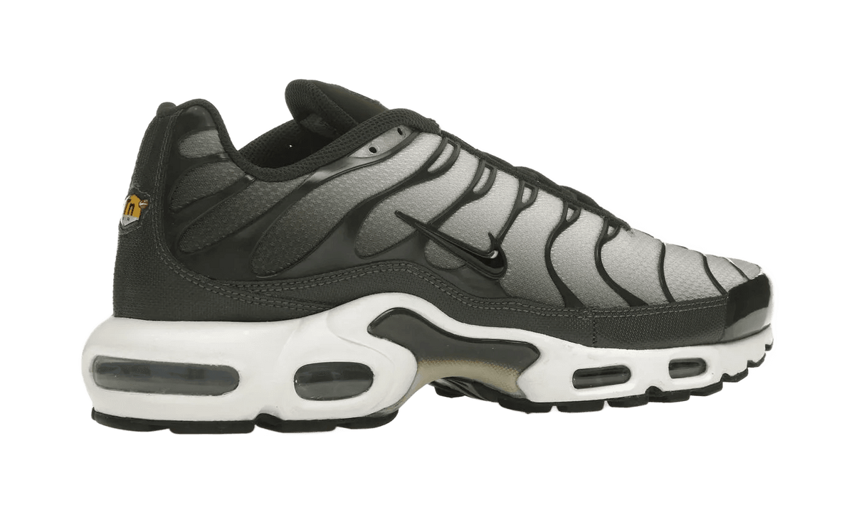 Nike Air Max Plus Sequoia Cargo Khaki - DM0032-300