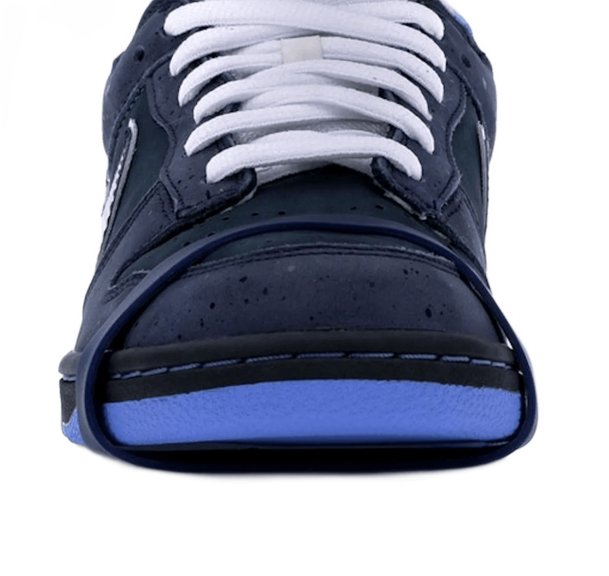 Nike SB Dunk Low Concepts Blue Lobster - 313170-342