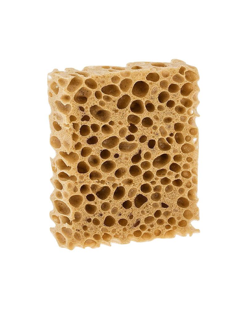 Svampe og klude