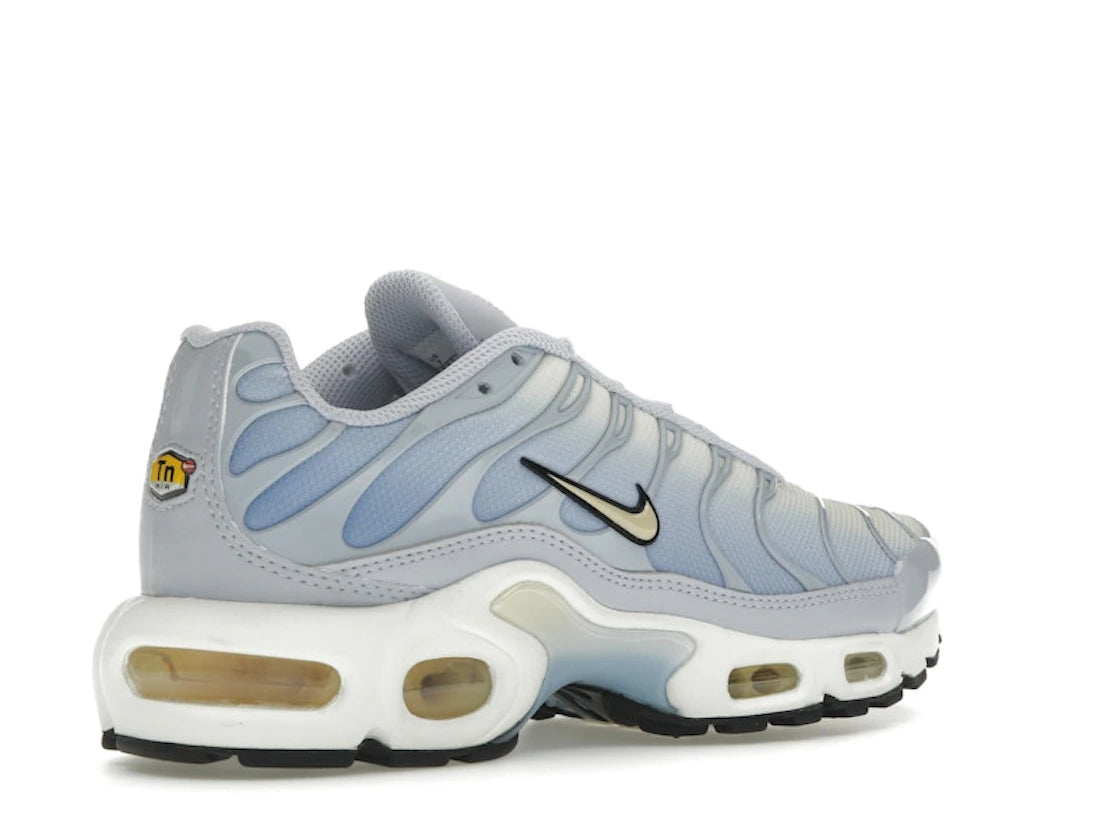 Nike Air Max Plus Daybreak - DZ3670-004