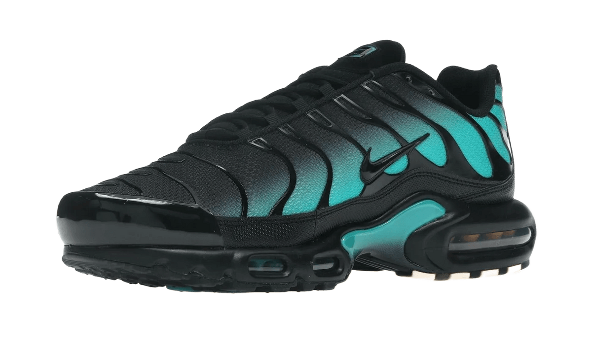 Nike Air Max Plus Black Dusty Cactus - DM0032-016