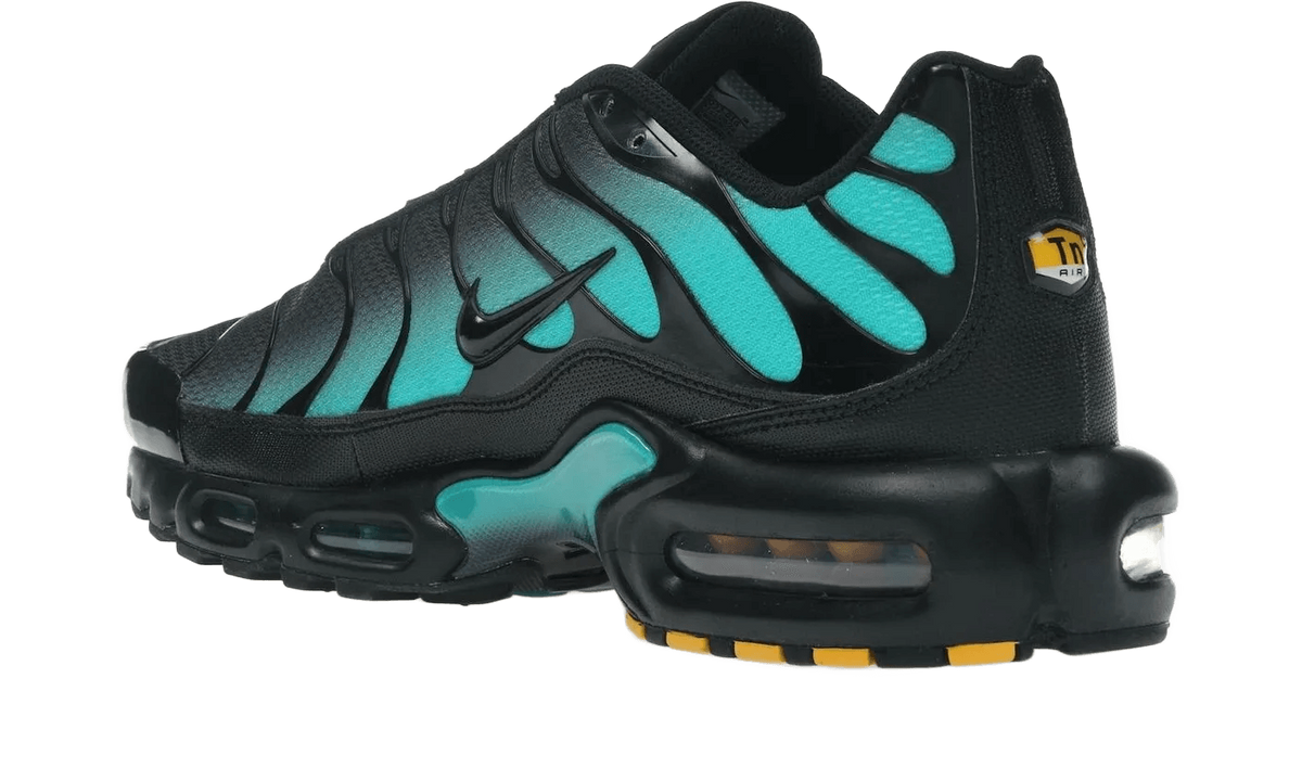 Nike Air Max Plus Black Dusty Cactus - DM0032-016