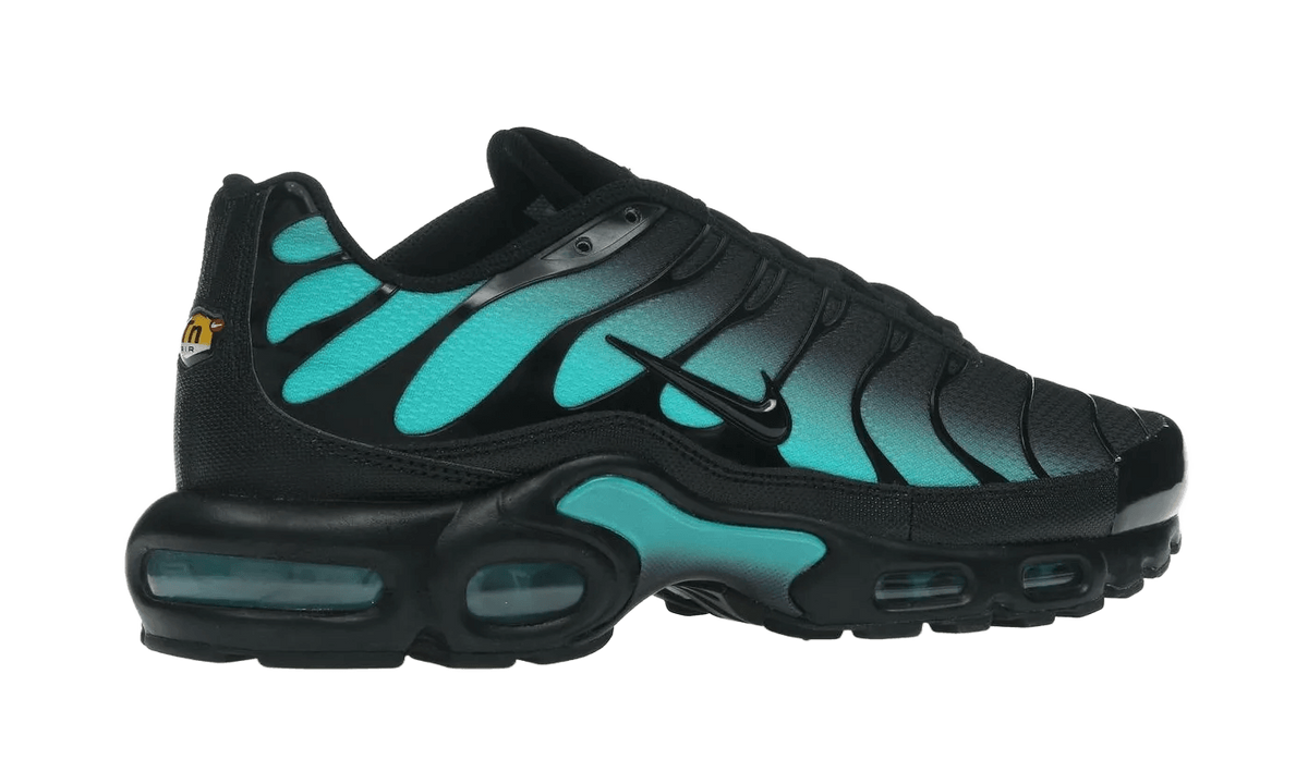 Nike Air Max Plus Black Dusty Cactus - DM0032-016
