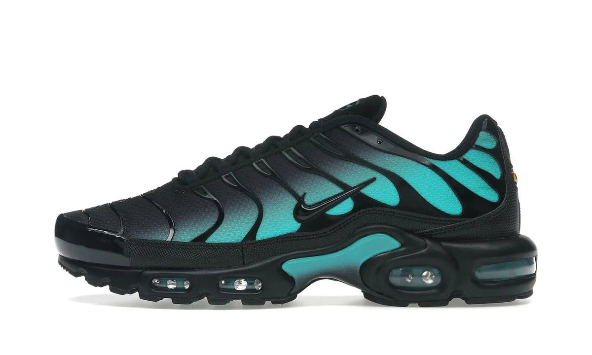 Nike Air Max Plus Black Dusty Cactus - DM0032-016