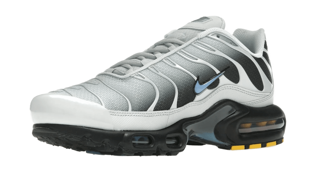 Nike Air Max Plus Grey University Blue Black - DM0032-015