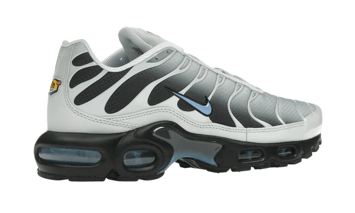 Nike Air Max Plus Grey University Blue Black - DM0032-015