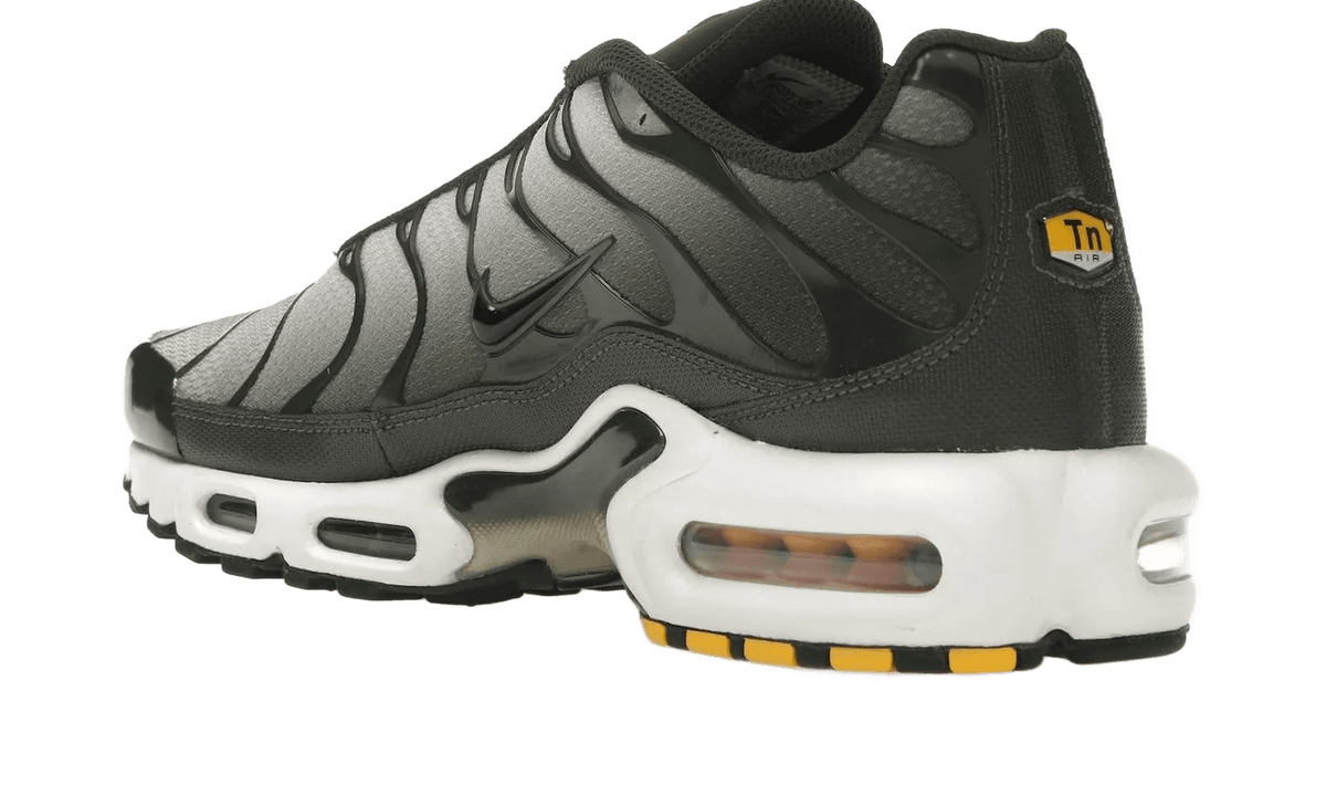 Nike Air Max Plus Sequoia Cargo Khaki - DM0032-300