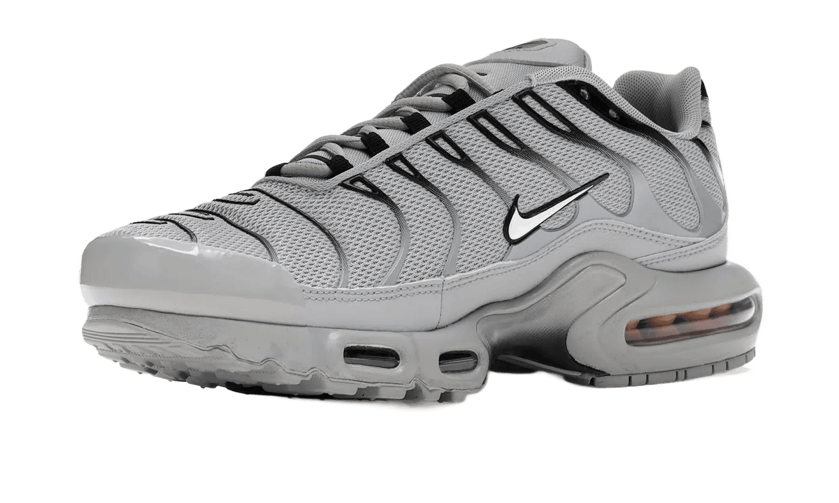 Nike Air Max Plus Wolf Grey - 852630-021