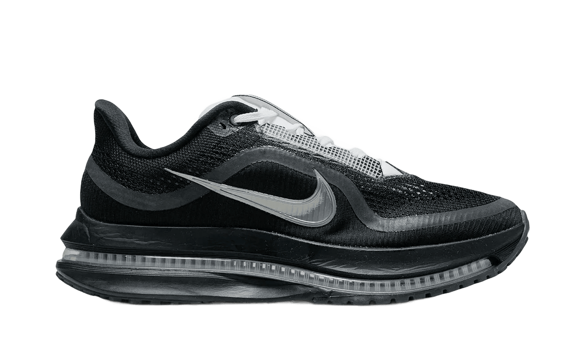 Nike Air Zoom Pegasus Premium SP Black Metallic Silver - IH4369-001